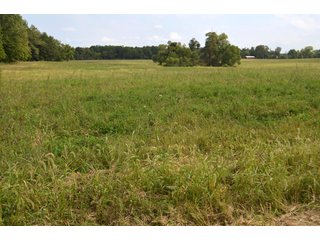 Dekalb County, Indiana Farmland - MAJOR LAND AUCTION - 516+/- ACRES OFFERED IN 18 TRACTS OR COMBINATIONS IN DEKALB COUNTY, INDIANA
